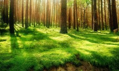 开云体育-欧冠淘汰赛焦点战，摩纳哥生死战取胜曼联