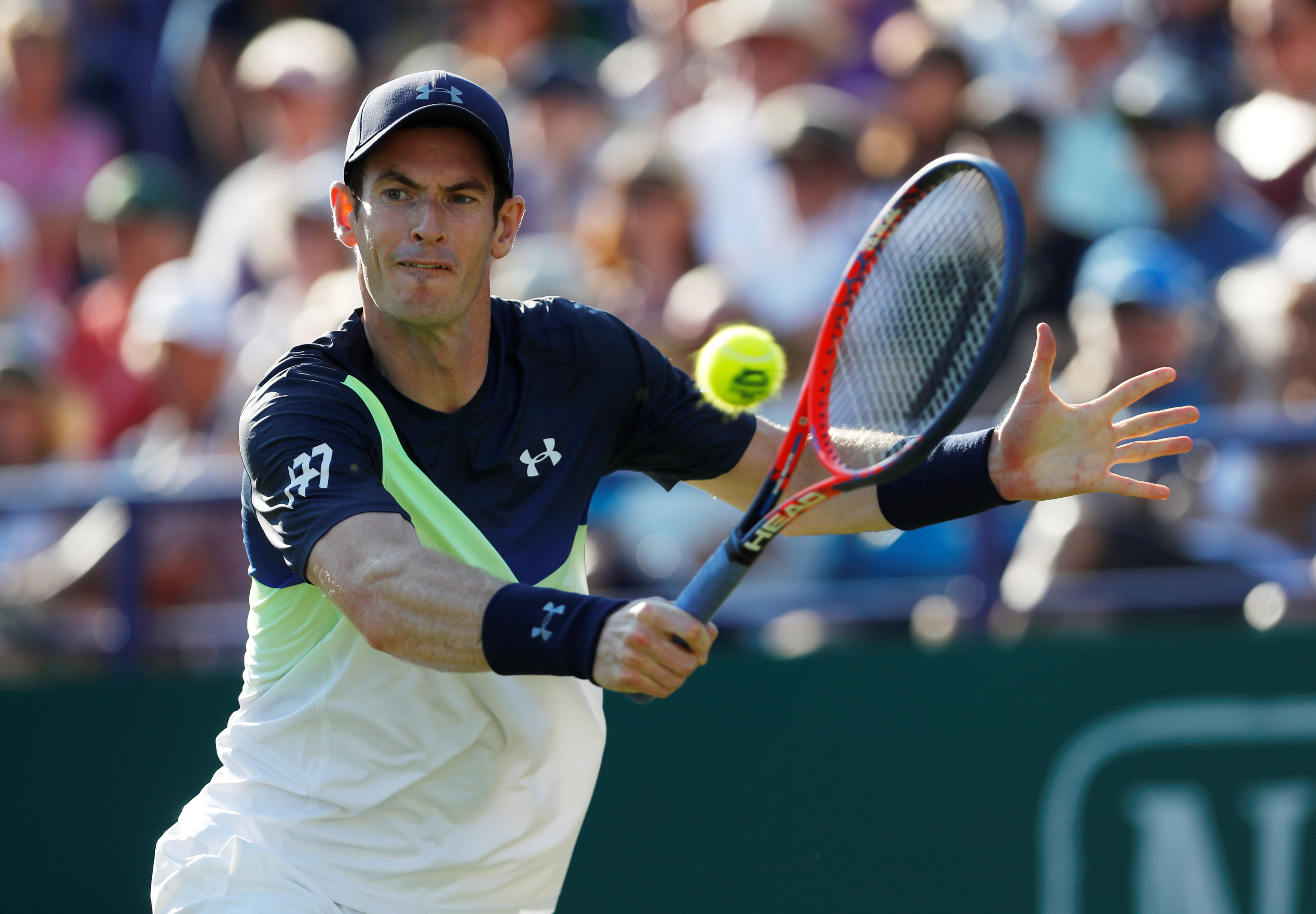 关于英国网球队绝地反击世界网球队，穆雷关键制胜的信息