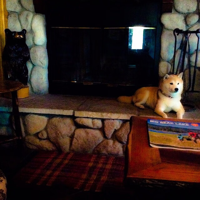 从努涅斯爆发到喀麦隆加时鏖战,足球世界里的唯一性叙事