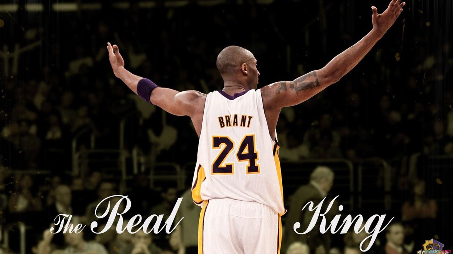 雷霆轻取猛龙,切特在焦点战证明自己,新生代内线新星崛起